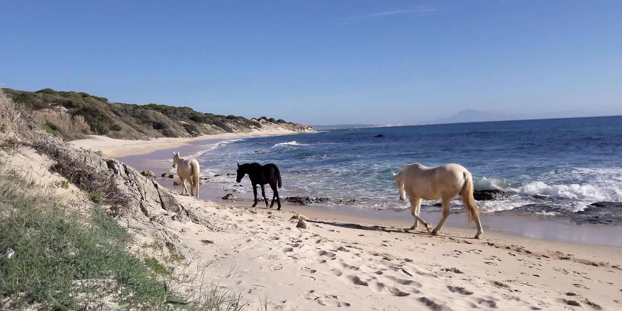 Tarifa-Blick Auf Afrika, Haus Am Meer, Haustiere Erlaubt